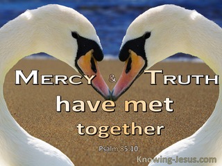 Psalm 85:10 Mercy And Truth Have Met (white)